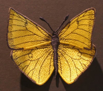 Yellow butterfly with black-veined wings on a brown background.
