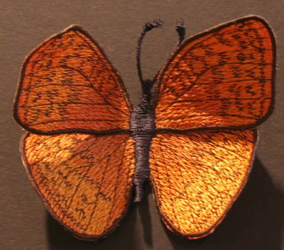 Orange butterfly with dark wing veins and black borders, wings spread on a brown background.