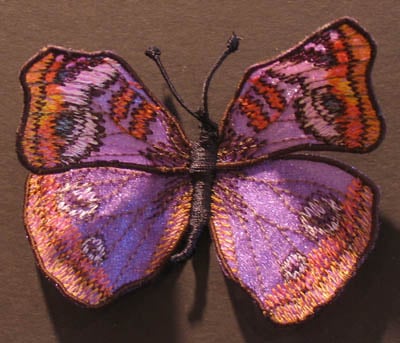 Purple butterfly with orange-edged wings and black veins resting on a brown background.