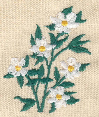 Embroidery Design: Pacific Dogwood<br> 2.19w X 2.63h