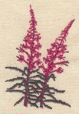 Embroidery Design: Fireweed<br> 1.81w X 2.76h