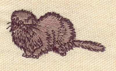 Embroidery Design: Weasel<br> 1.98w X 0.97h