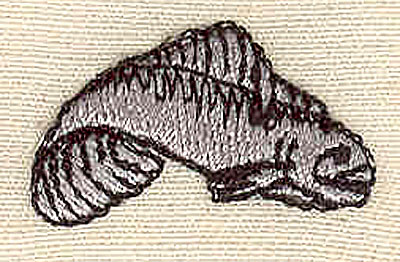 Embroidery Design: Moray eel<br> 1.10w X 0.65h