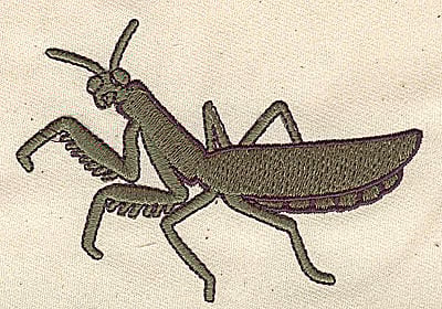 Embroidery Design: Praying Mantis<br> 3.50w X 2.50h