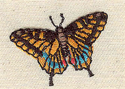 Embroidery Design: Butterfly<br> 1.30w X 1.00h