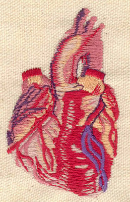 Embroidery Design: Heart anatomy<br> 1.80w X 3.00h