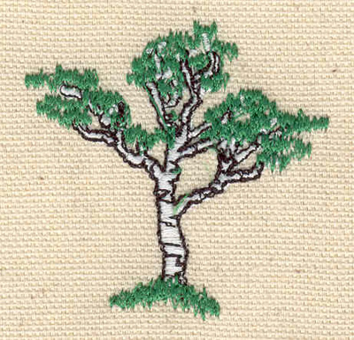 Embroidery Design: Birch Tree <br> 2.00"h x 1.95"w