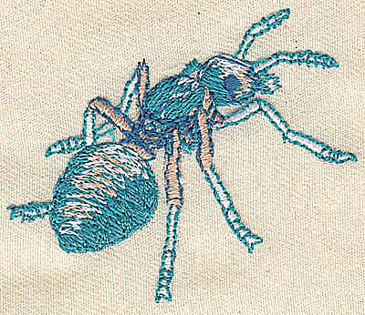Embroidery Design: Ant<br> 2.35w X 1.99h