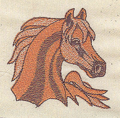 Embroidery Design: Palomino horse head<br>2.44in. H x 2.52in. W