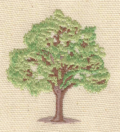 Embroidery Design: Maple Tree <br> 2.11"h x 1.84"w