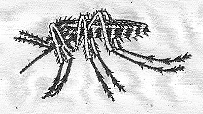 Embroidery Design: Mosquito<br> 2.92w X 1.54h