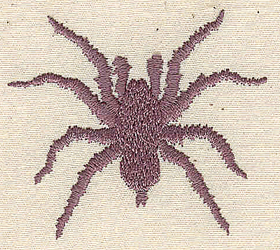 Embroidery Design: Spider<br> 2.21w X 1.96h