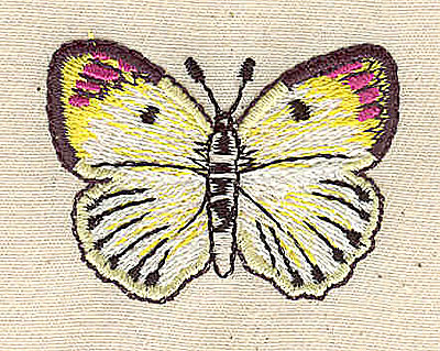 Embroidery Design: Butterfly<br> 1.78w X 1.32h