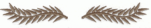 Embroidery Design: Banner 1<br> 0.78" X 5.19"