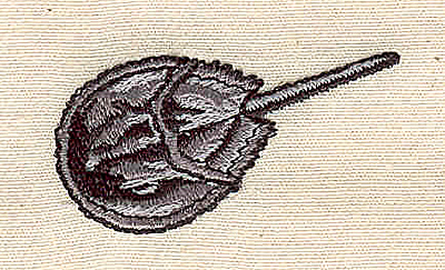 Embroidery Design: Stingray<br> 1.68w X 0.90h