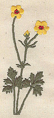 Embroidery Design: Buttercup<br> 1.38w X 3.38h