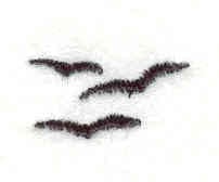 Embroidery Design: Birds<br> 0.58w X 0.72h