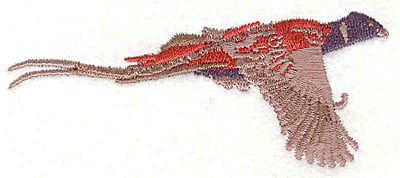 Embroidery Design: Pheasant<br> 1.55w X 3.67h