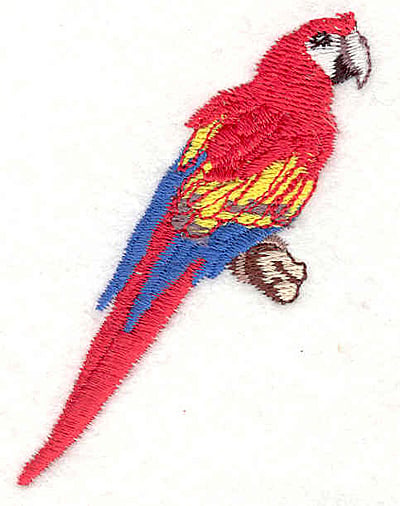 Embroidery Design: Macaw<br> 2.83w X 2.11h