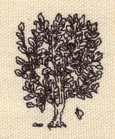 Embroidery Design: Tree G <br> 1.68"h x 1.28"w