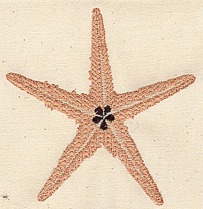 Embroidery Design: Starfish<br> 4.09w X 4.28h