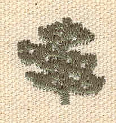 Embroidery Design: Evergreen M<br> 0.78w X 0.74h