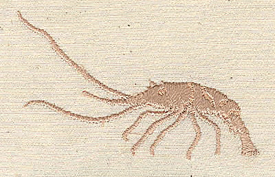 Embroidery Design: Shrimp<br> 2.60w X 1.70h