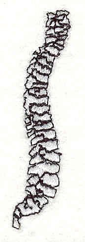 Embroidery Design: Spine 1<br> 2.25w X 0.60h