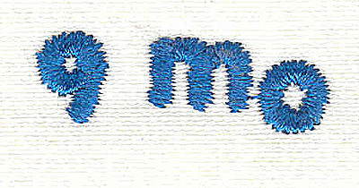 Embroidery Design: Closet divider boys 9 mo<br> 4.53w X 0.94h