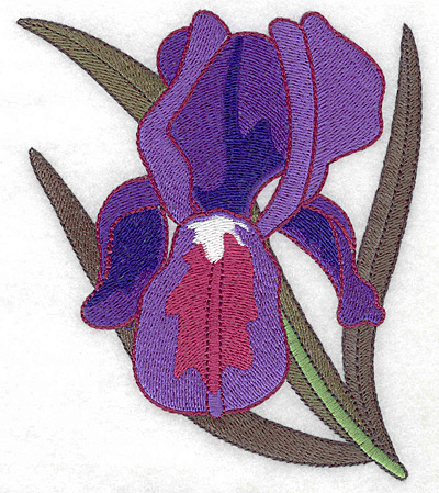 Embroidery Design: Iris large<br> 4.26w X 4.99h
