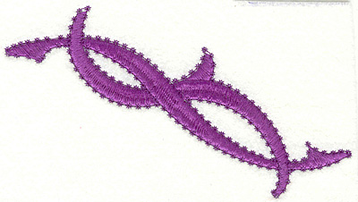 Embroidery Design: Paisley Ribbon M Large<br>4.13" x 6.93"