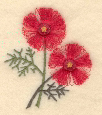 Embroidery Design: Firepink fringe<br>2.73w X 3.14h