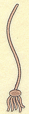 Embroidery Design: Tassel large<br> 0.85w X 4.96h