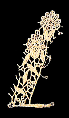 Embroidery Design: Vintage Lace Edition 6 Vol.6 AINL18A <br> 2.35"w X 4.59"h