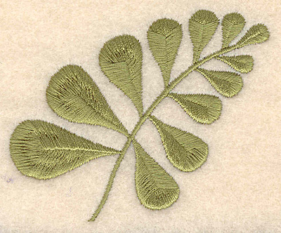 Embroidery Design: Fern <br>3.08"w X 2.53"h