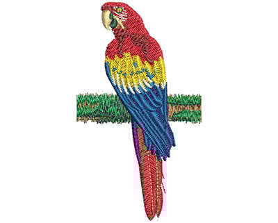 Embroidery Design: Tri Color Macaw Lg<br> 2.00w X 3.54h