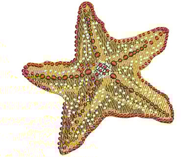 Embroidery Design: Starfish Lg<br> 3.92w X 3.98h