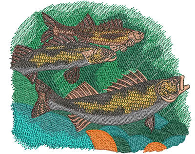 Embroidery Design: Saugers Swimming Lg<br> 5.99w X 5.03h
