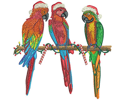 Embroidery Design: 3 Christmas Parrots Lg<br> 5.95w X 5.96h | Embroidery Legacy Embroidery Design: 3 Christmas Parrots Lg<br> 5.95w X 5.96h