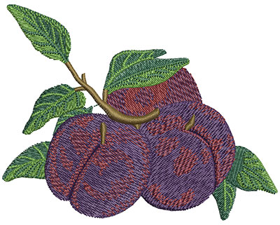 Embroidery Design: Batch of Plums Lg<br> 4.02w X 3.15h