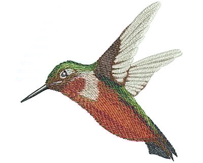 Embroidery Design: Humming Bird Cruise Lg<br> 4.43w X 4.37h