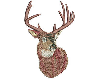 Embroidery Design: Whitetail Portrait Lg<br> 2.91w X 4.52h | Embroidery Legacy Embroidery Design: Whitetail Portrait Lg<br> 2.91w X 4.52h