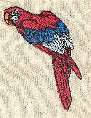 Embroidery Design: Parrot<br> 1.31w X 2.88h