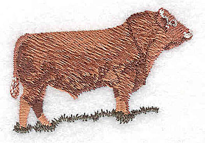 Embroidery Design: Steer<br>1.50W x 2.94H