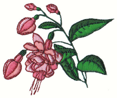 Embroidery Design: Fuschia<br>3.06" x 2.69"