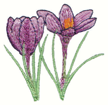 Embroidery Design: Crocus<br>2.26" x 2.21"