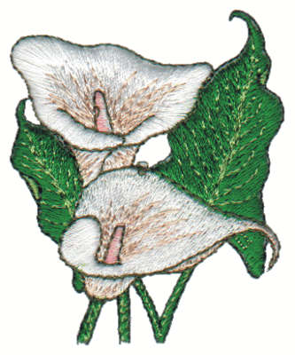 Embroidery Design: Calla Lily<br>2.15" x 2.63" | Embroidery Legacy Embroidery Design: Calla Lily<br>2.15" x 2.63"