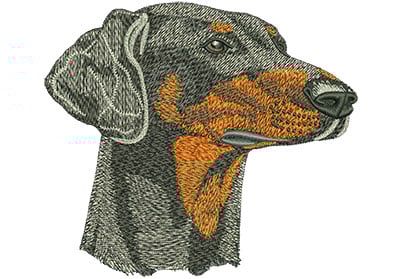 Embroidery Design: Doberman Lg<br> 4.99w X 4.45h