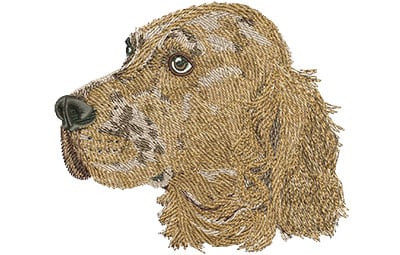 Embroidery Design: English Setter Lg<br> 4.51w X 3.91h
