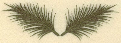 Embroidery Design: Two Palm Fronds<br>6.31w X 2.05h